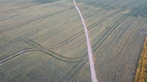 Drone Footage of a Agricultural Land