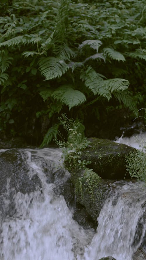 Water Flowing in the River