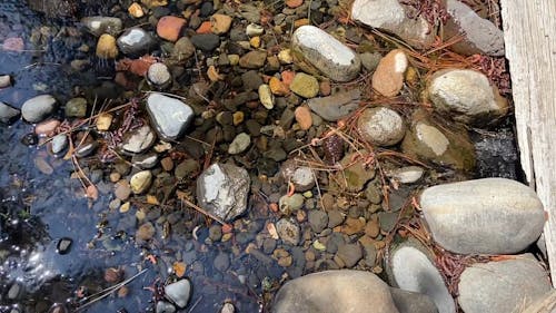 Trickling Water Over Pebbles