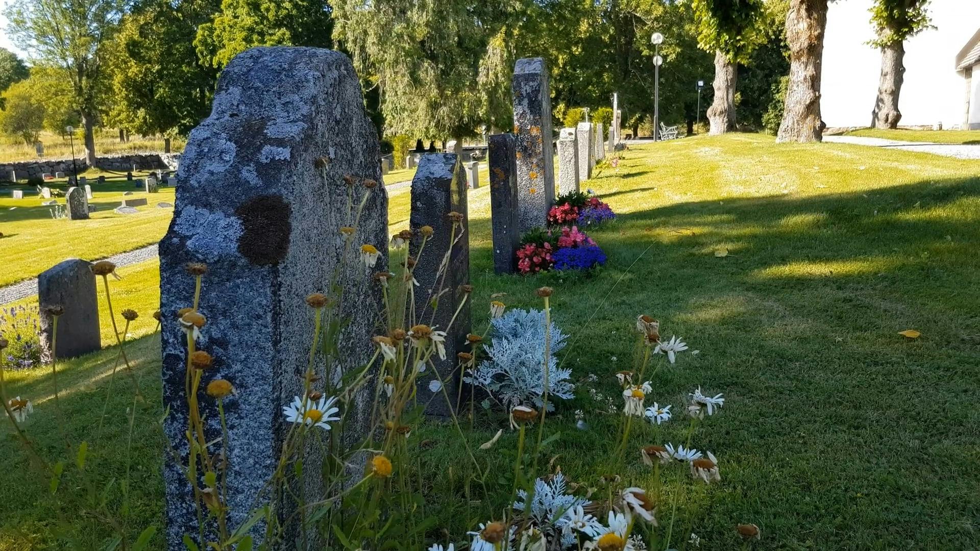 A National Cemetery Park · Free Stock Video