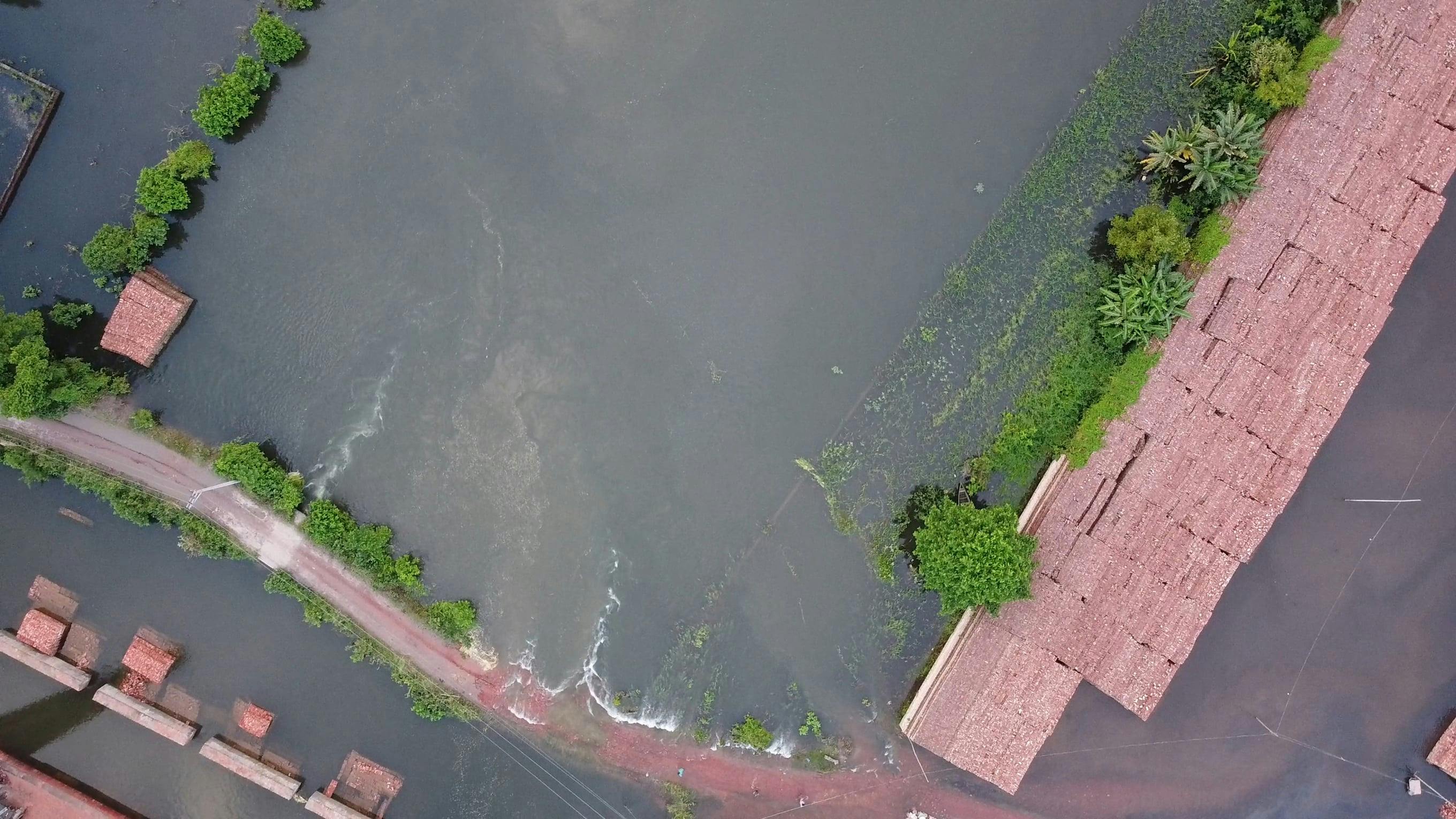 Professional Water Restoration Techniques In Memphis TN