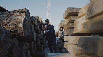 log灰片视频素材