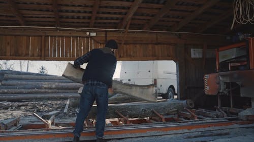 Men Cutting Logs