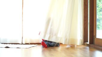 家里意外视频素材视频素材