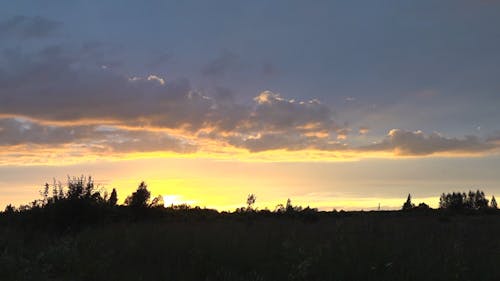 Silhouette View on the Sunset