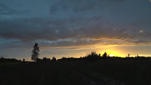 Silhouette View on the Sunset