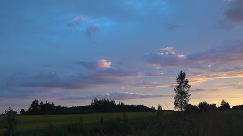 Sunset View on the Grassland