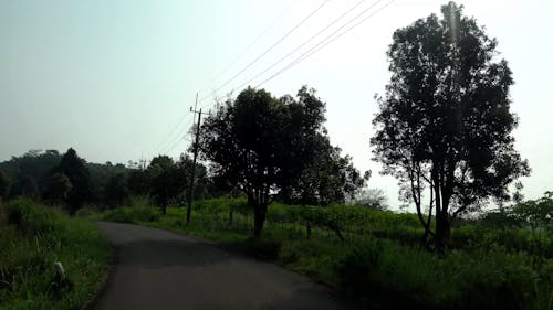 Car Traveling on a Country Road