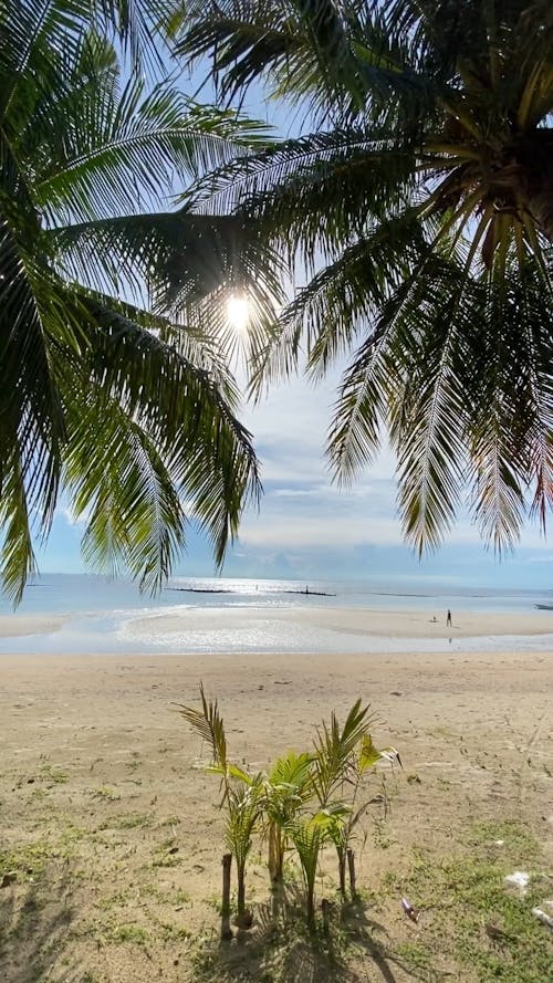 Beautiful Beach on a Sunny Day