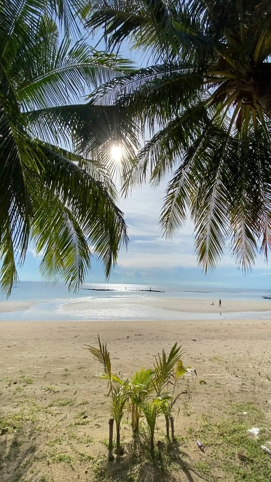 Beautiful Beach on a Sunny Day · Free Stock Video