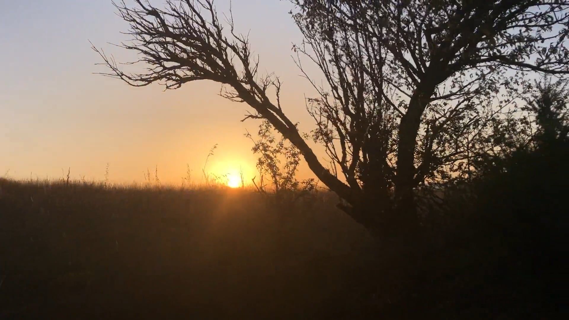 Video by Vicky DeClasca