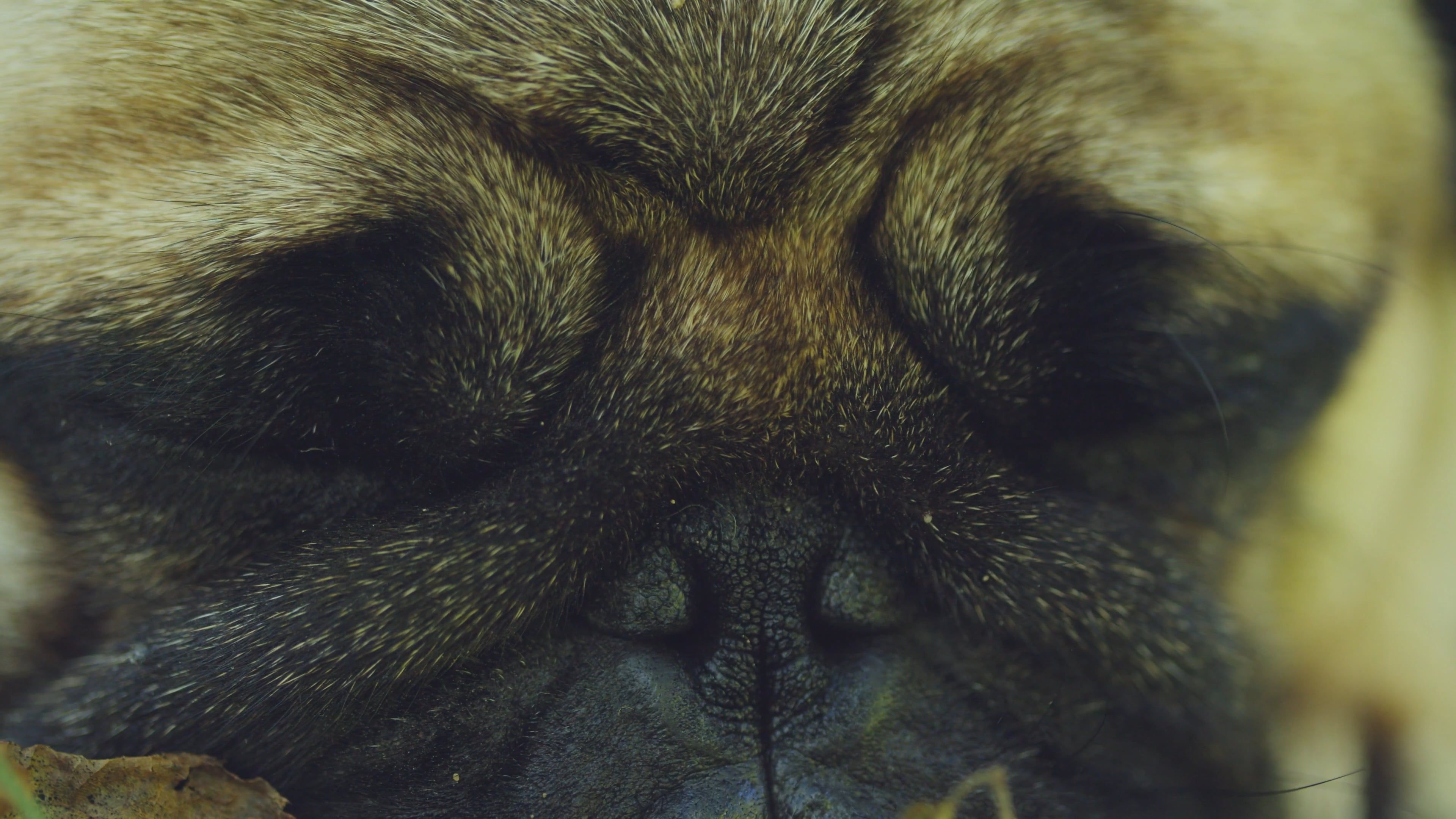 Face Video Videos, Download The BEST Free 4k Stock Video Footage & Face