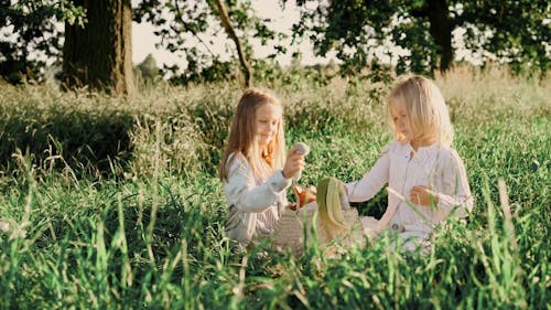 Children Having a Picnic