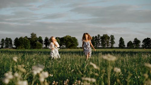 Kids Playing on the Outdoors