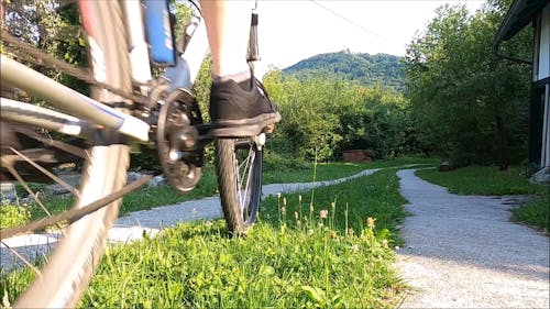 Woman Riding a Bike on the Outdoors