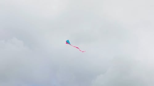 Kite Flying in the Sky