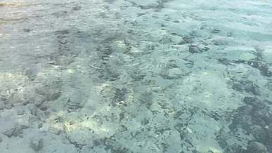 clear sea water at the beach