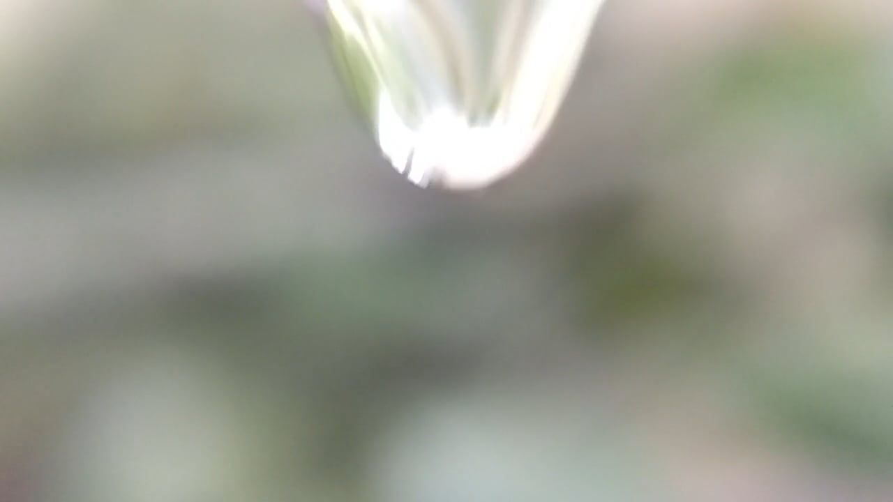 close up view of water drops 5004211