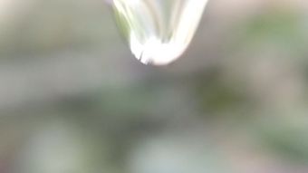 滴灌高清视频视频素材视频素材