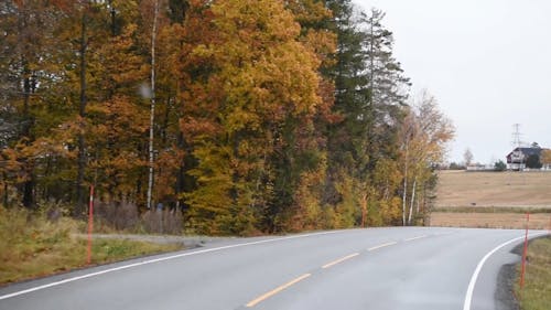 Vehicles Traveling on Road