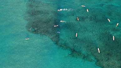 aerial view of people swimming in the ocean