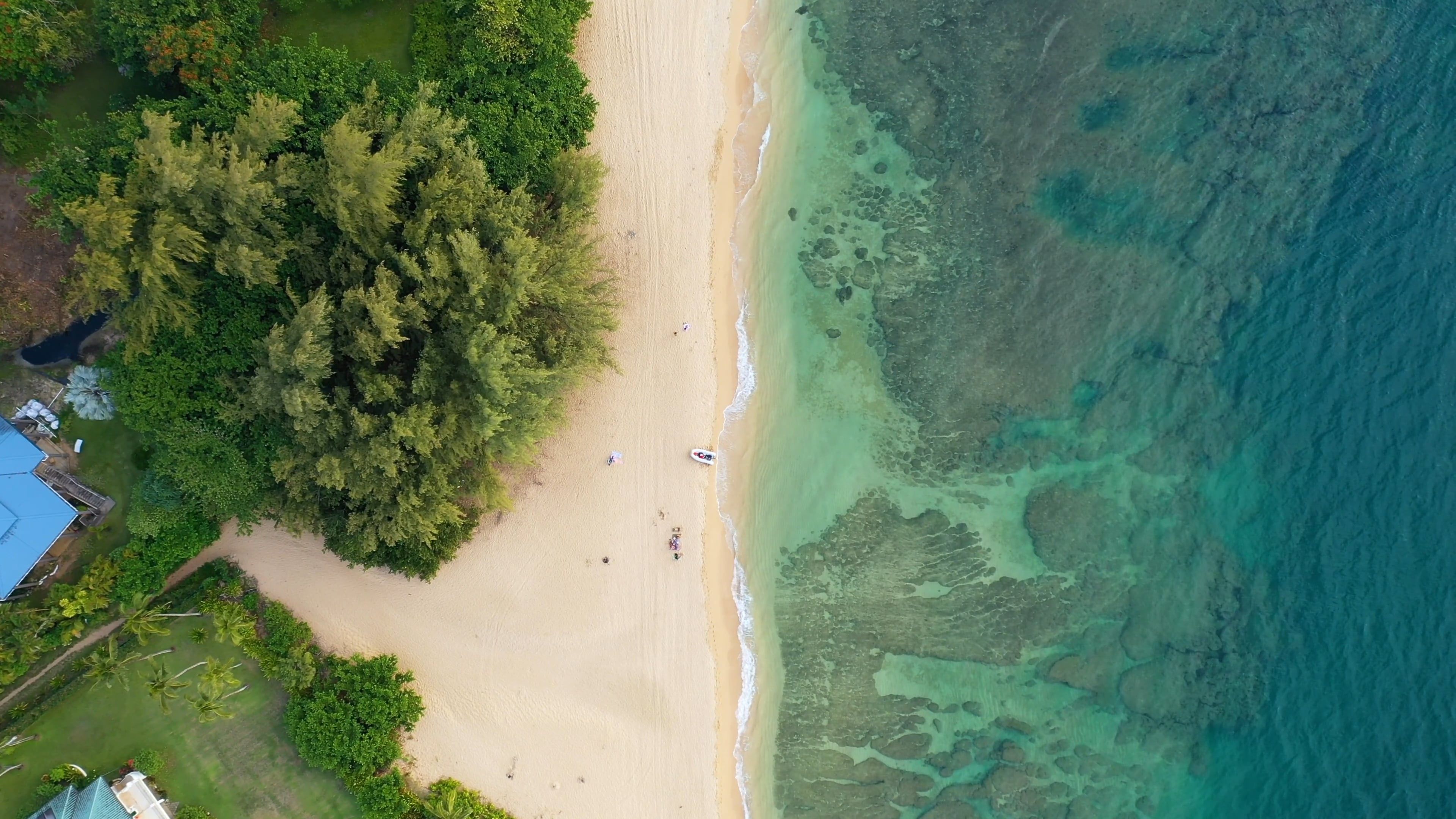 Kauai Island Videos, Download The BEST Free 4k Stock Video Footage ...