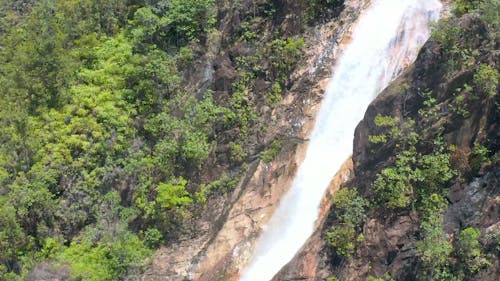 Waterfalls and Forest Footage