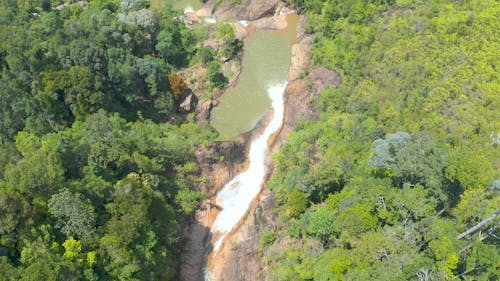 Waterfalls and Forest Footage