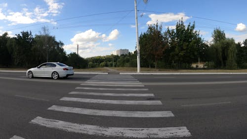 Footage of a Pedestrian Crossing