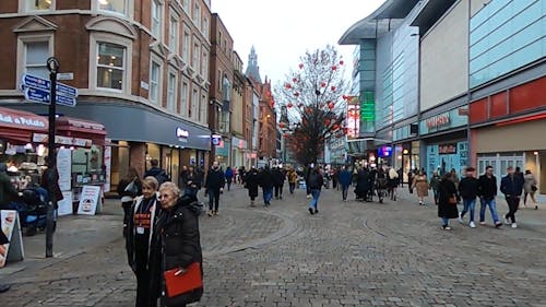 Crowd of People Walking on the Street