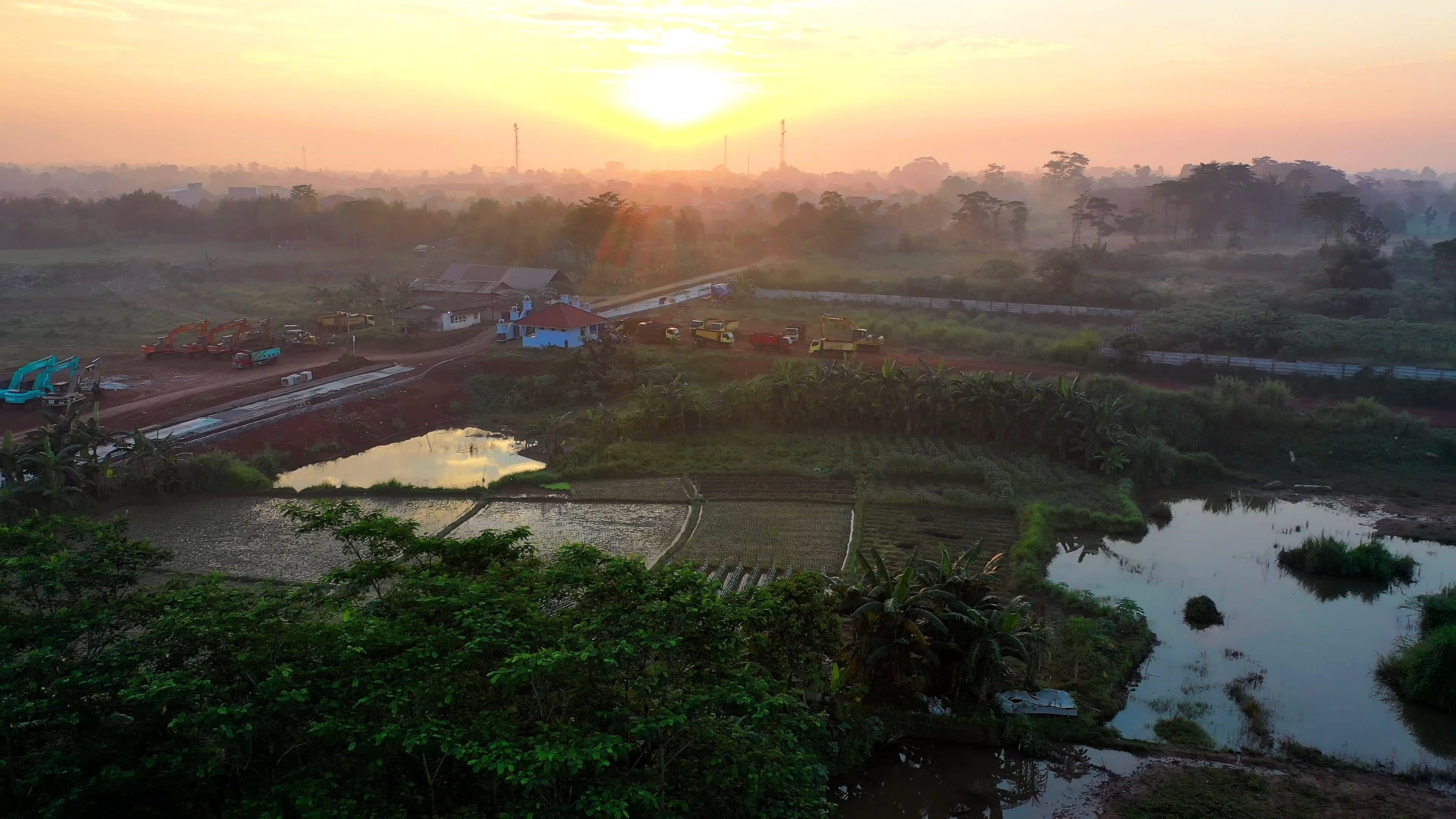 Drone Footage of Paddy Fields During Golden Hour Free Stock Video ...