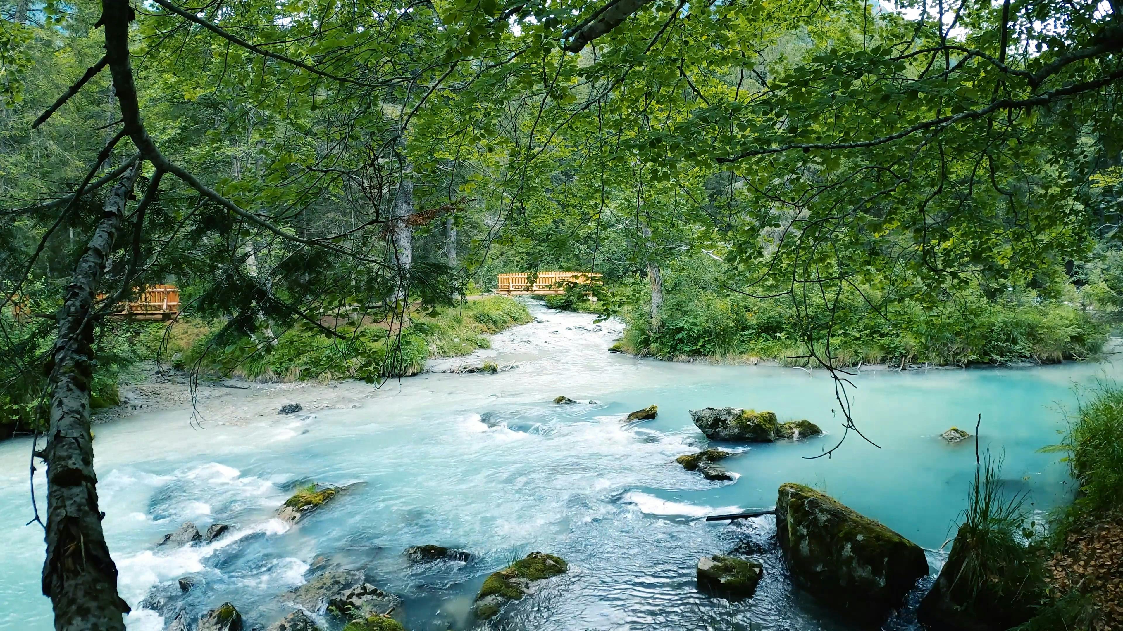 Video by Ambient_Nature_ Atmosphere