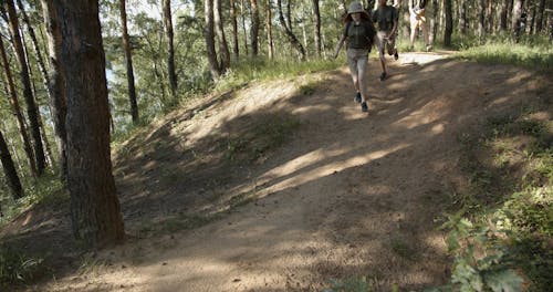 Group of Teenagers Running in the Woods