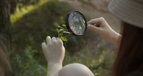 A Girl Looking at a Flower