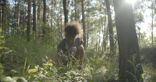 A Girl Searching in the Woods