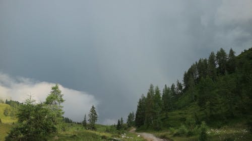 Footage of a Grassland at the Hills