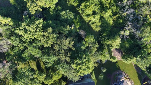 Drone Footage of a Neighborhood