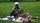 picnic