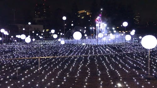 Lights Display Exhibition At A Park At Night