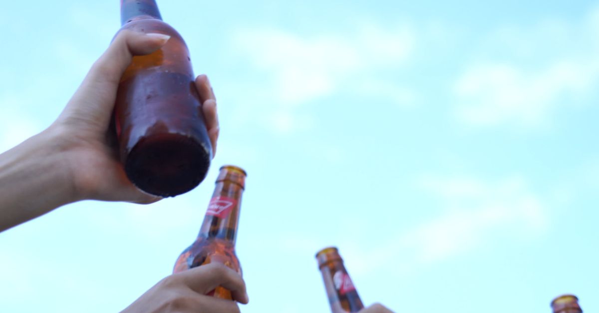 Making Cheers Group of People Making a Cheers Free Stock Video Footage, Royalty-Free ...