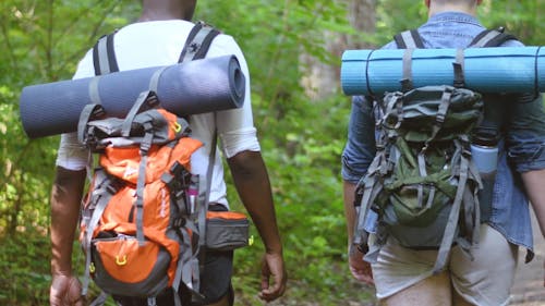 Two Backpackers Walking in the Forest