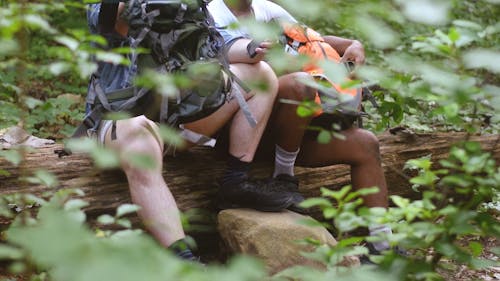 Hikers Getting Ready to Walk again