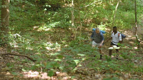 Two Guys on their Trek in Woods