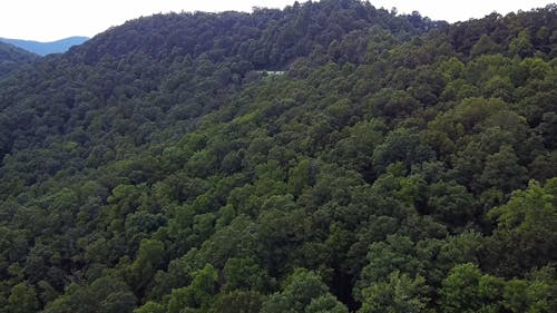 Drone Shot of a Green Mountain