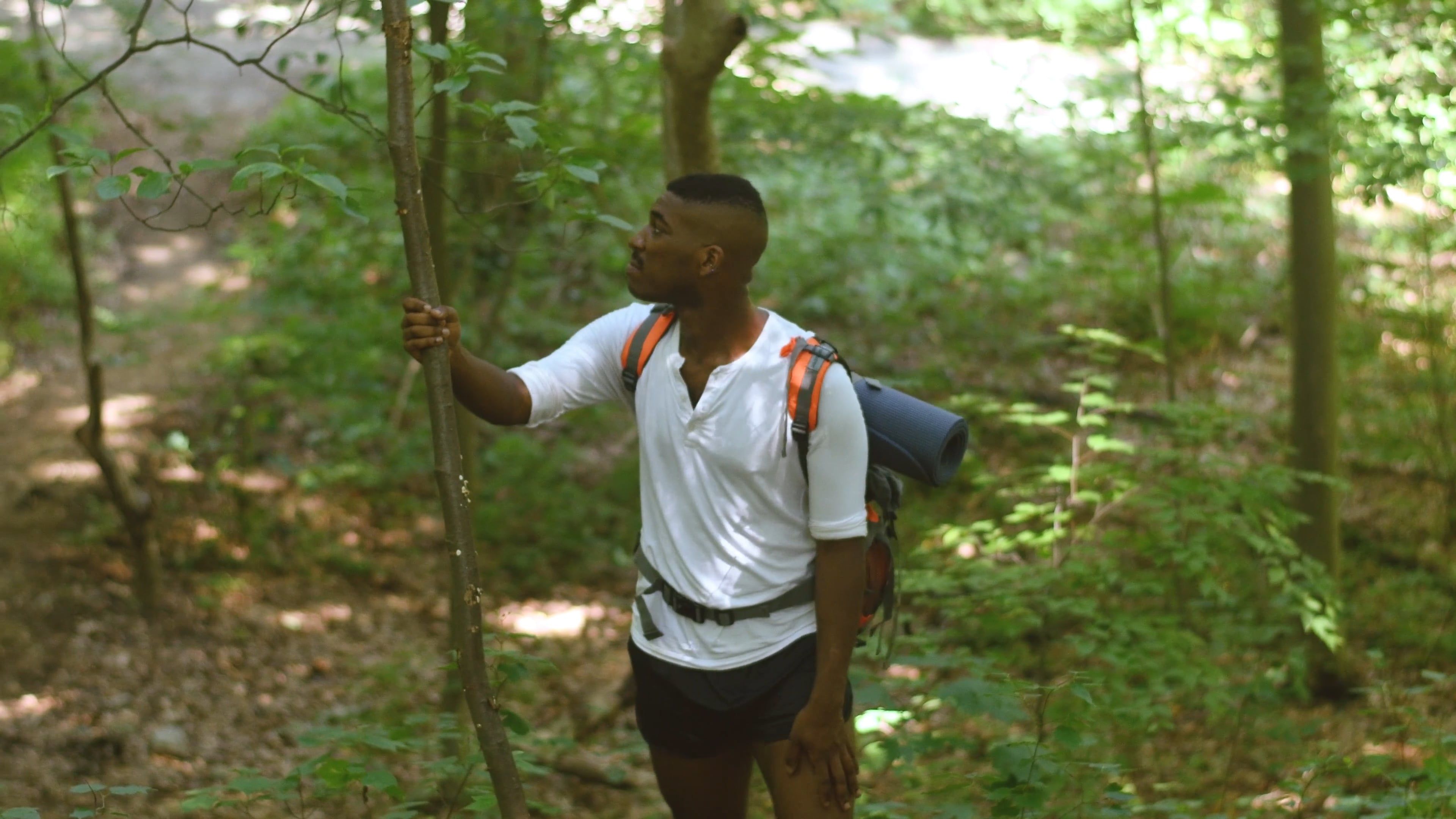 Backpacker with a Wooden Log Free Stock Video Footage, Royalty-Free 4K ...
