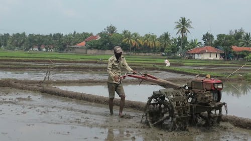 Man Operating a Tractor in the Field