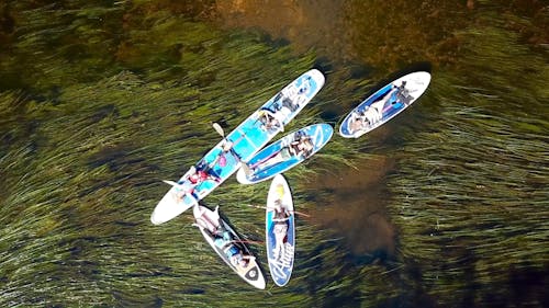 People Lying on Paddle Boards