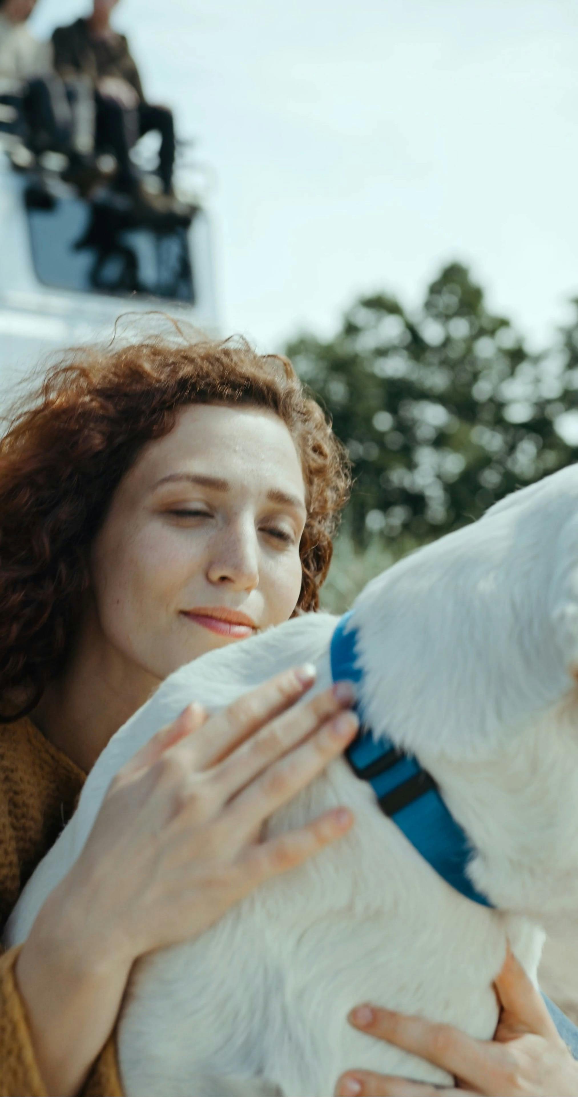 Cutedog Videos, Download The BEST Free 4k Stock Video Footage & Cutedog HD Video Clips