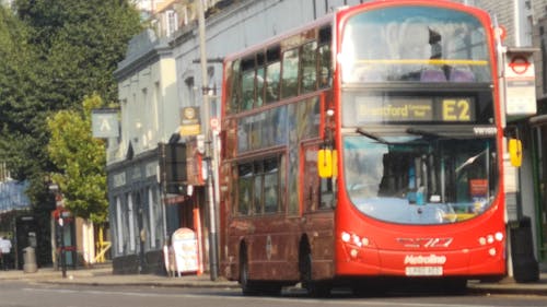 Buses on the Road