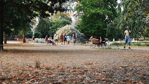 People Walking in a Park